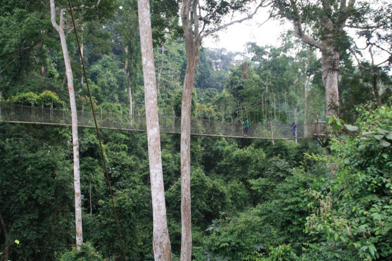 Ghana Canopy Walkway