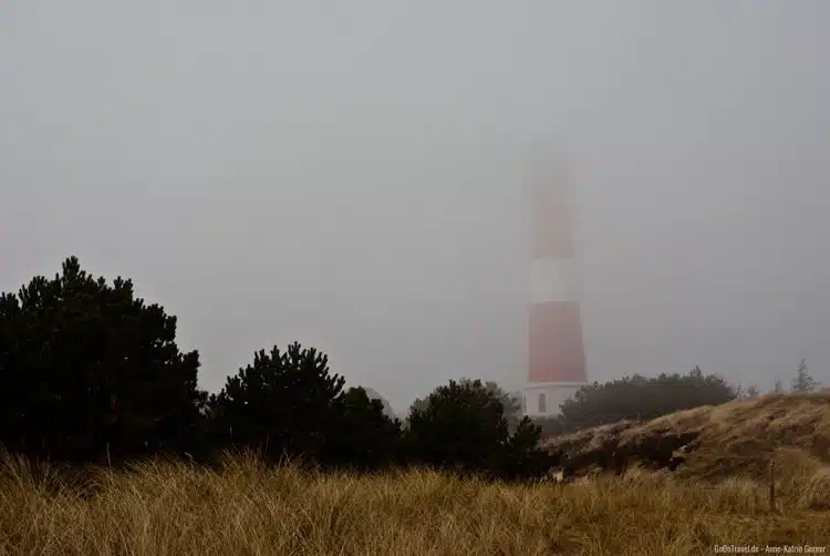 Hörnum im Novembernebel Hörnum im Novembernebel