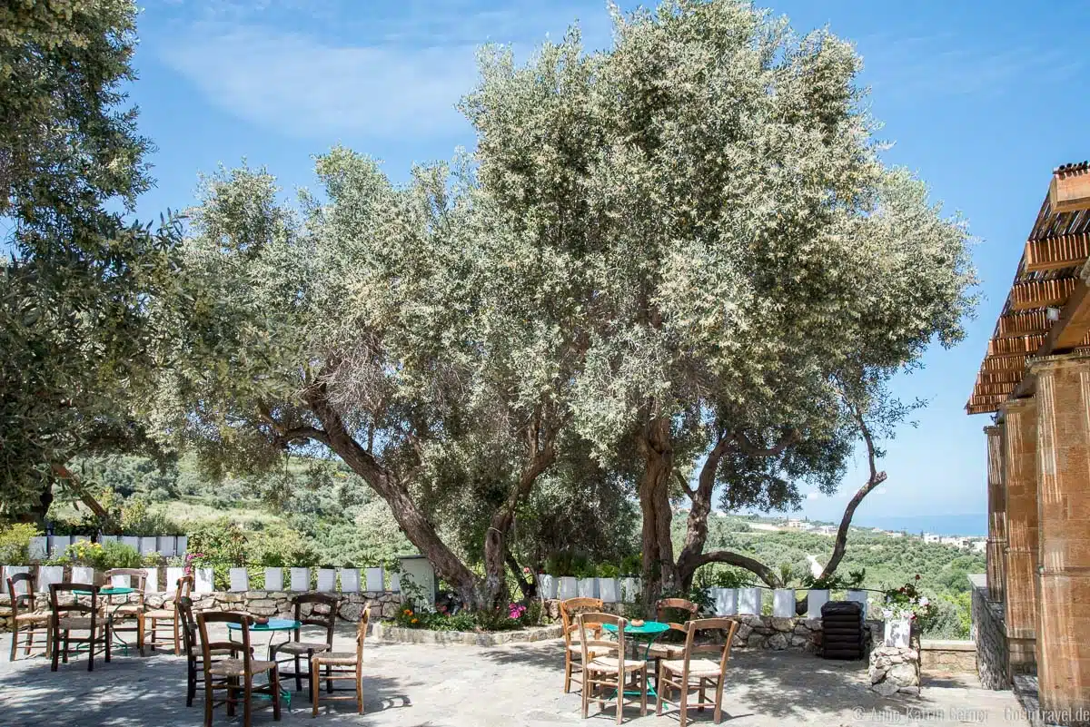 preisgekrönte Bio-Taverne preisgekrönte Bio-Taverne