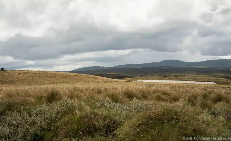 Szenerie im Aberdare Nationalpark in Kenia Szenerie im Aberdare Nationalpark in Kenia