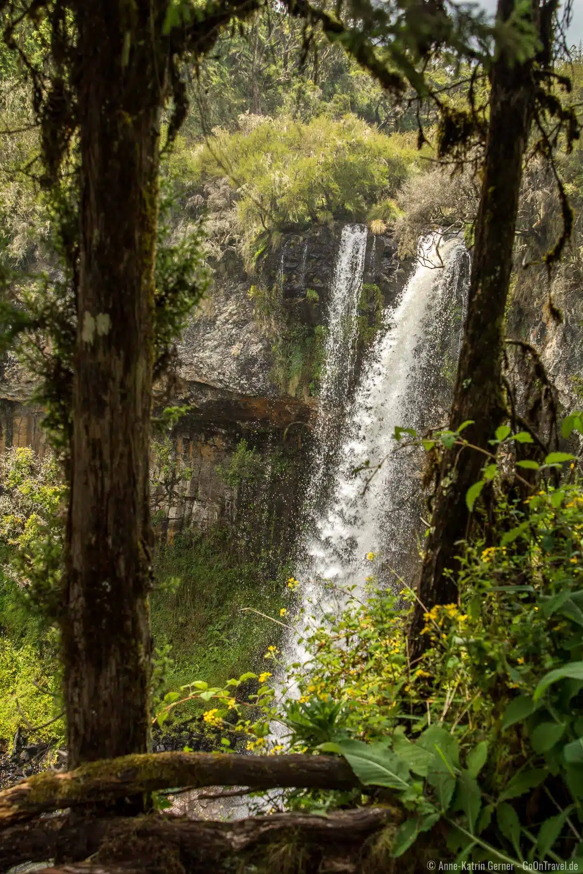 Chania Wasserfall lässt sich im Aberdare Nationalpark sehr gut zu Fuß erreichen.