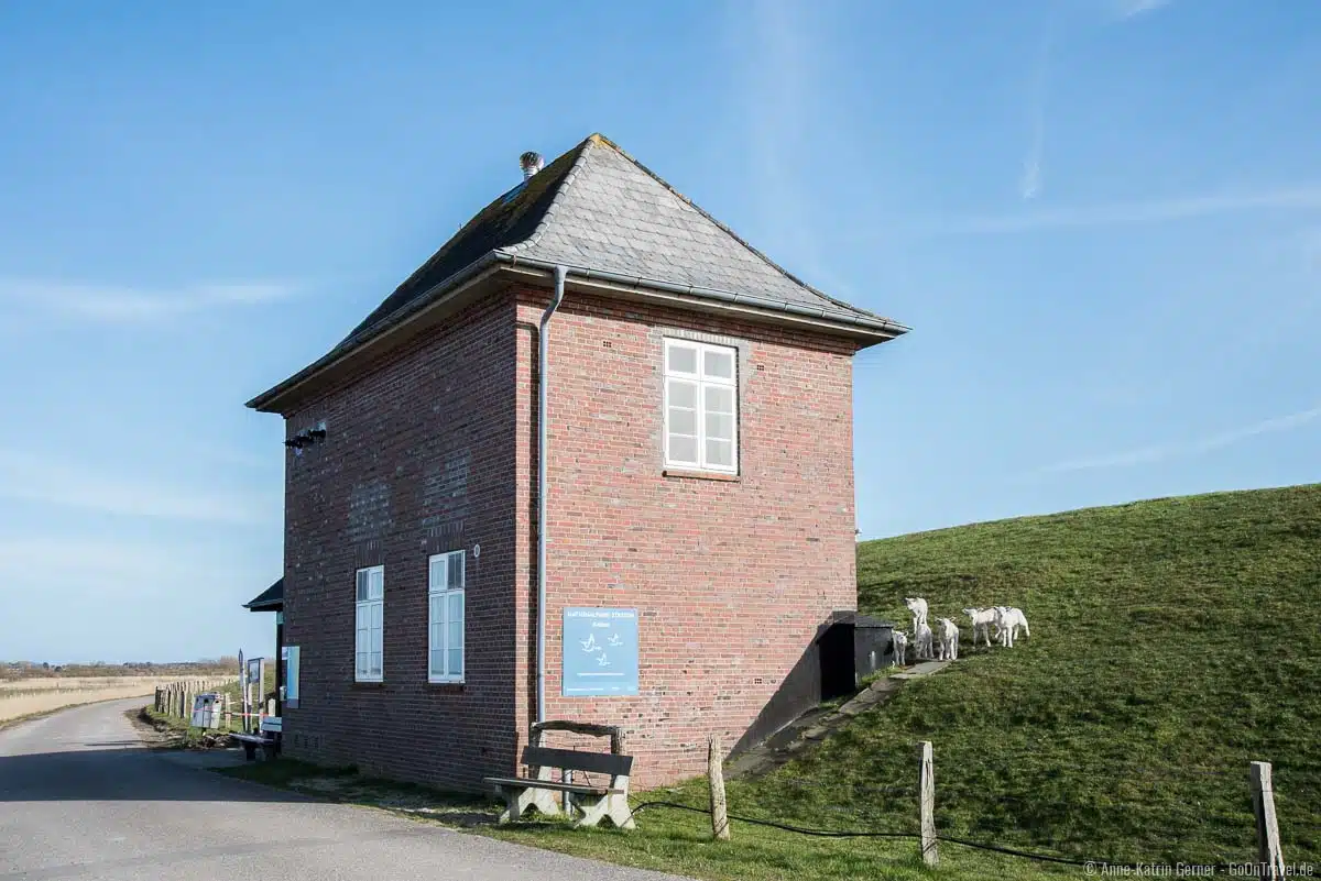 Altes Schöpfwerk in Keitum am Nössedeich Altes Schöpfwerk in Keitum am Nössedeich