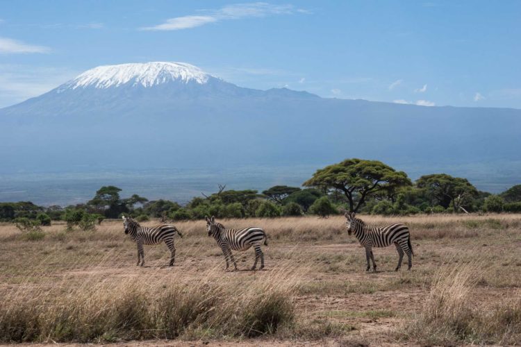 Amboseli Nationalpark Kilimanscharo Safari