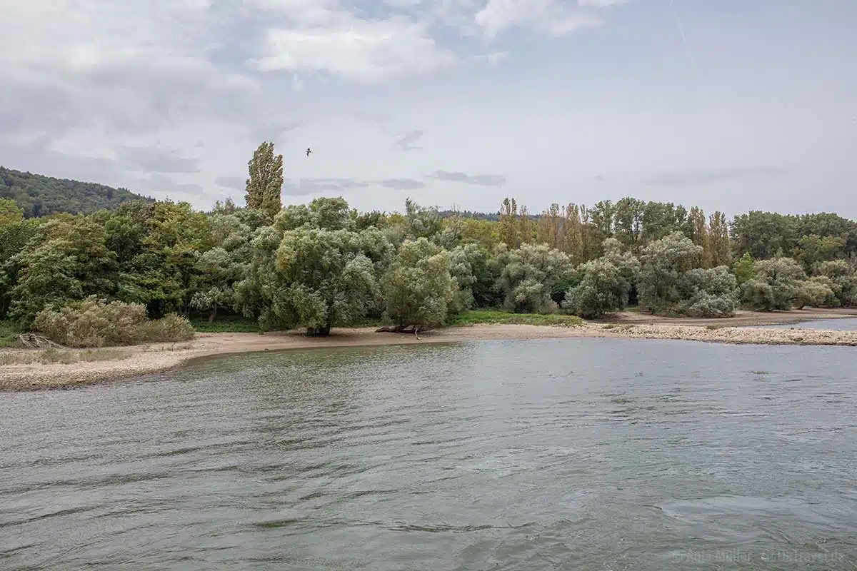 Naturschutzgebiet Namedyer Werth Naturschutzgebiet Namedyer Werth
