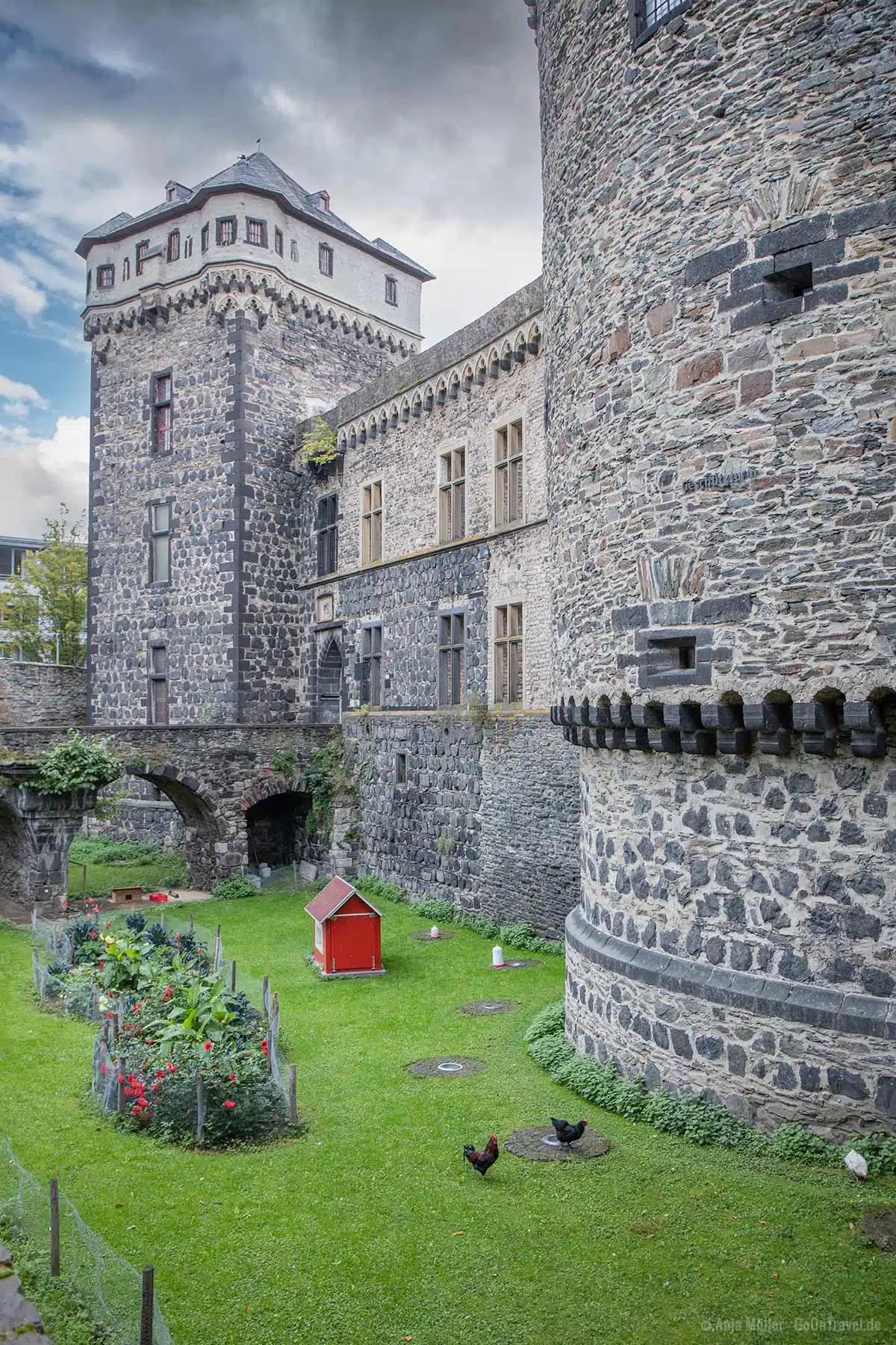 Hühner an der Andernach Stadtburg Hühner an der Andernach Stadtburg