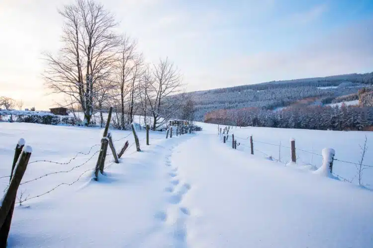 Ardennen Schnee Winterlandschaft