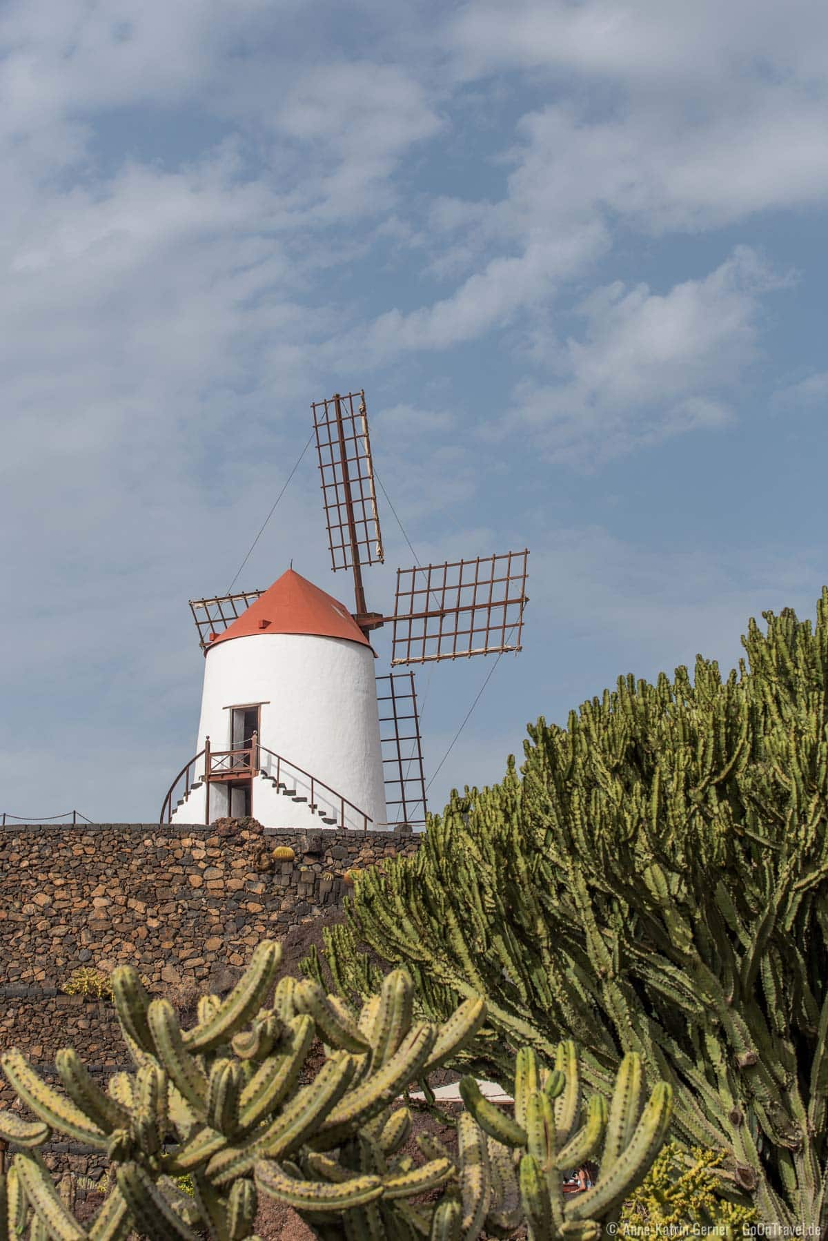 Die weiße Windmühle zwischen den Kakteen ist ein beliebtes Fotomotiv
