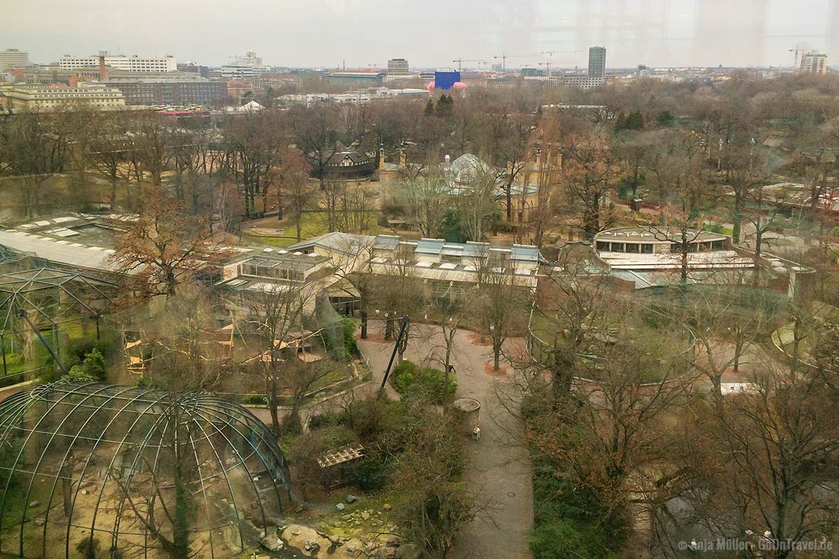 Blick auf den Zoo vom Restaurant NENI Berlin