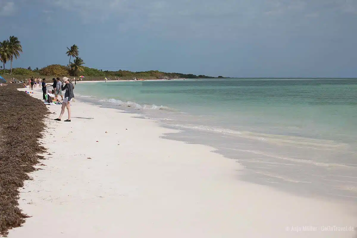 Bahia Beach in den Florida Keys Bahia Beach in den Florida Keys