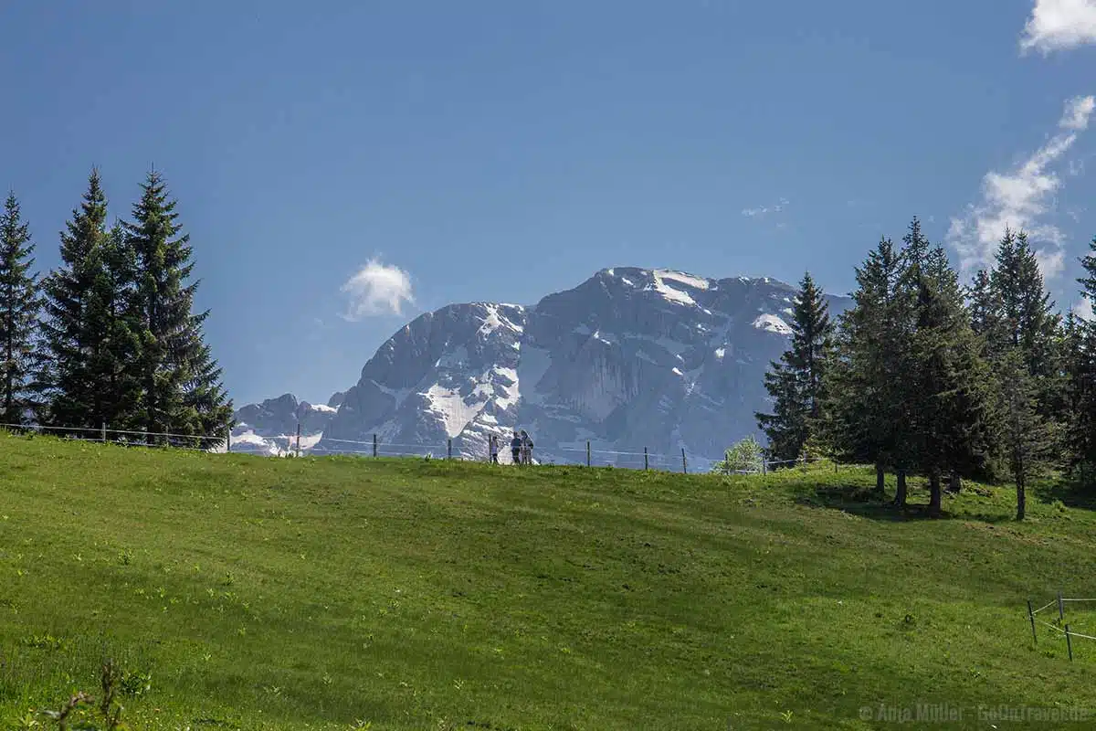 Hochplateau in 1.600 m Höhe Hochplateau in 1.600 m Höhe