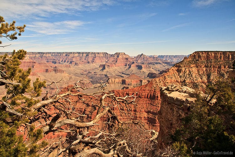 Egal, wo man hinschaut, die Landschaft des Grand Canyon National Parks ist so beeindruckend. Egal, wo man hinschaut, die Landschaft des Grand Canyon National Parks ist so beeindruckend.