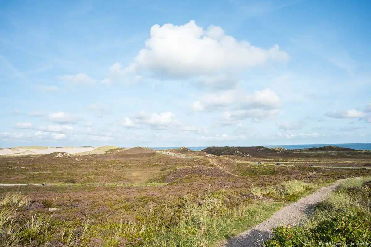 Blick auf die Wanderdüne in List Blick auf die Wanderdüne in List