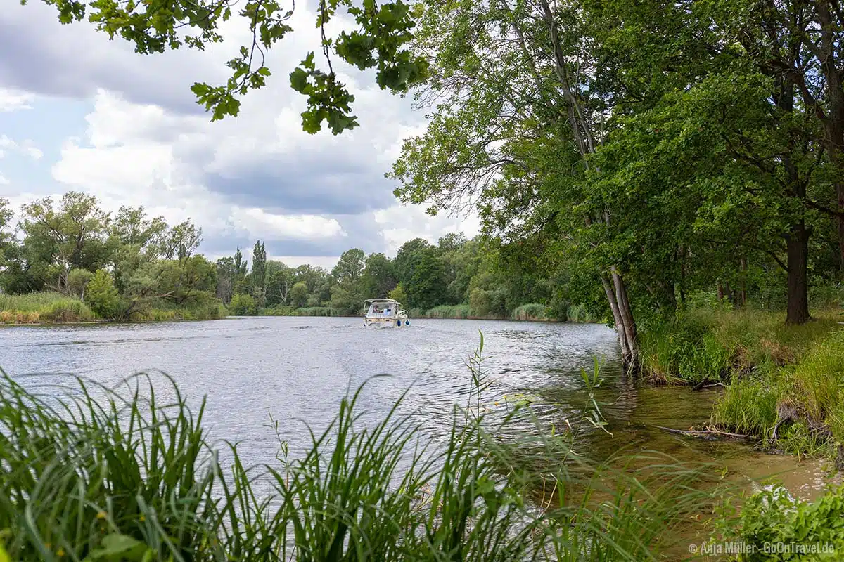 Picknick mit Blick auf die Havel Picknick mit Blick auf die Havel