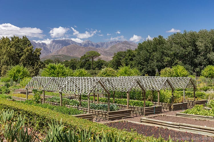 Der Garten von Boschendal