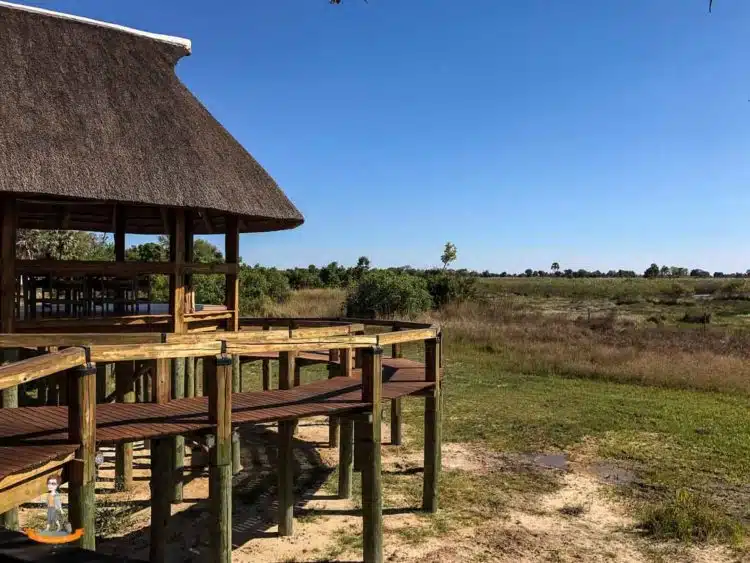 Das Camp Okavango in Botswana