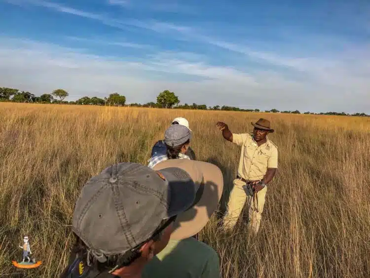 Auf Safari zu Fuss Auf Safari zu Fuss
