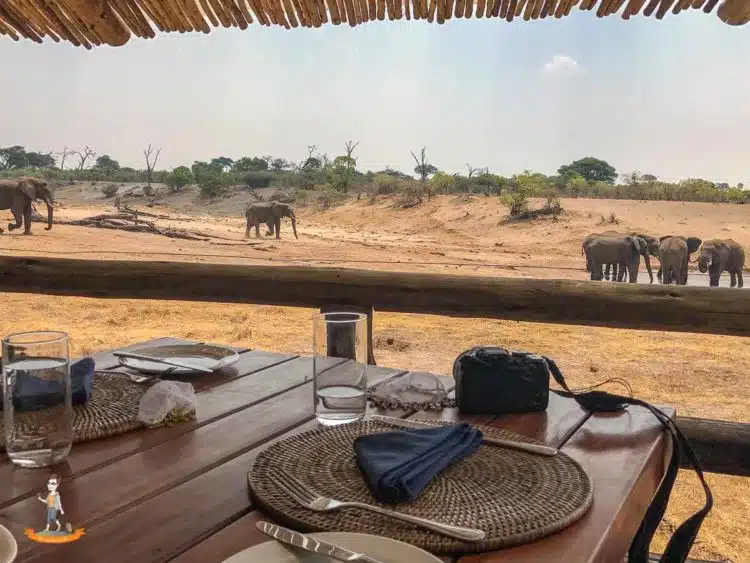 Essen mit Aussicht im Savute Safari Camp