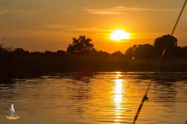 Sonnenuntergang im Okavango Delta