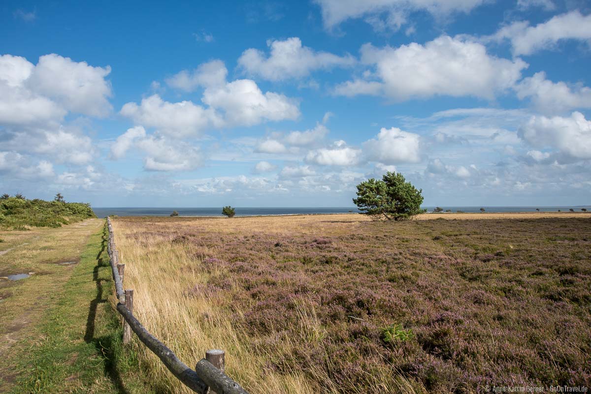 Weg durch die Braderuper Heide Weg durch die Braderuper Heide