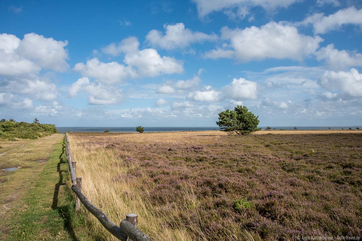 Weg durch die Braderuper Heide