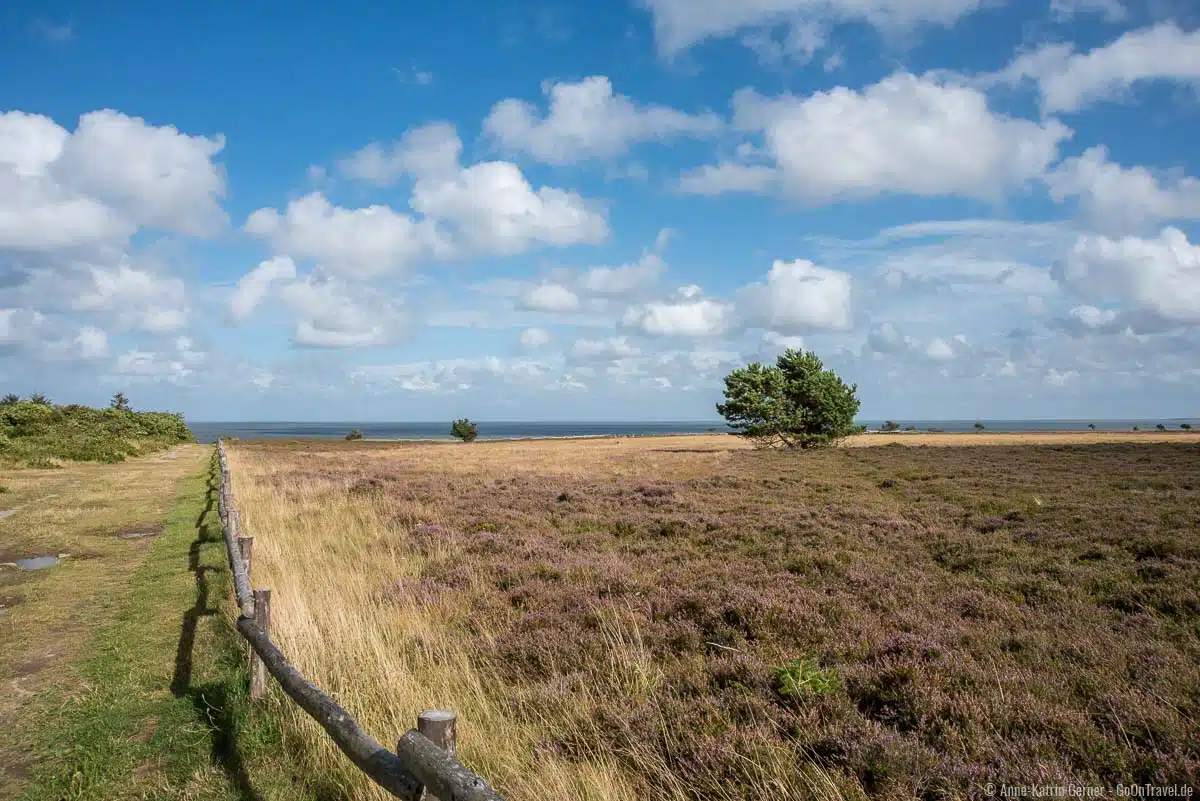 Weg durch die Braderuper Heide Weg durch die Braderuper Heide