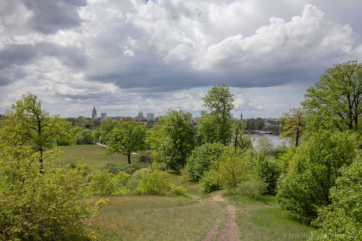 Blick vom Berg auf Potsdam