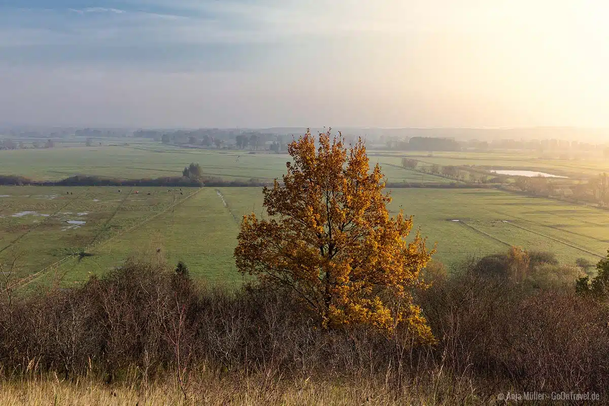 Am Aussichtspunkt in Hohenfinow Am Aussichtspunkt in Hohenfinow