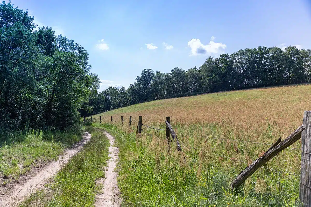 Weg am Pimpinellenberg Weg am Pimpinellenberg