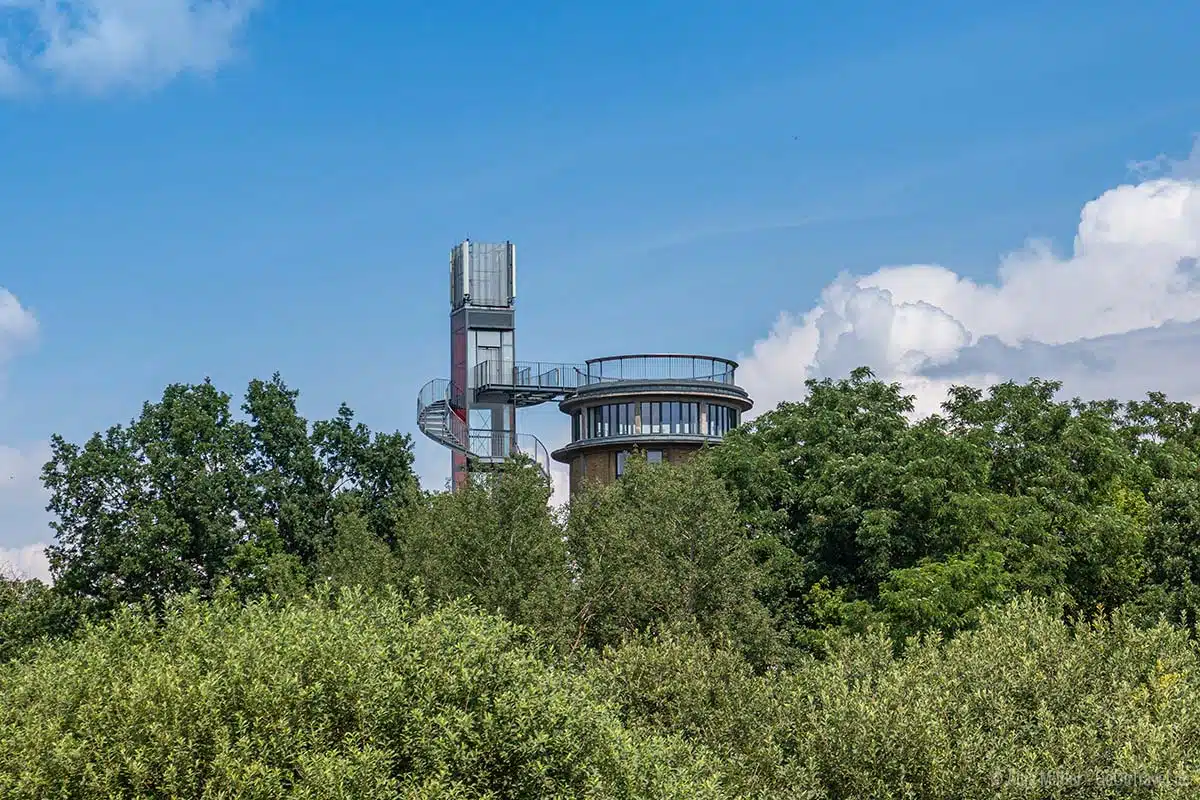 Wasserturm Bioramaprojekt Wasserturm Bioramaprojekt