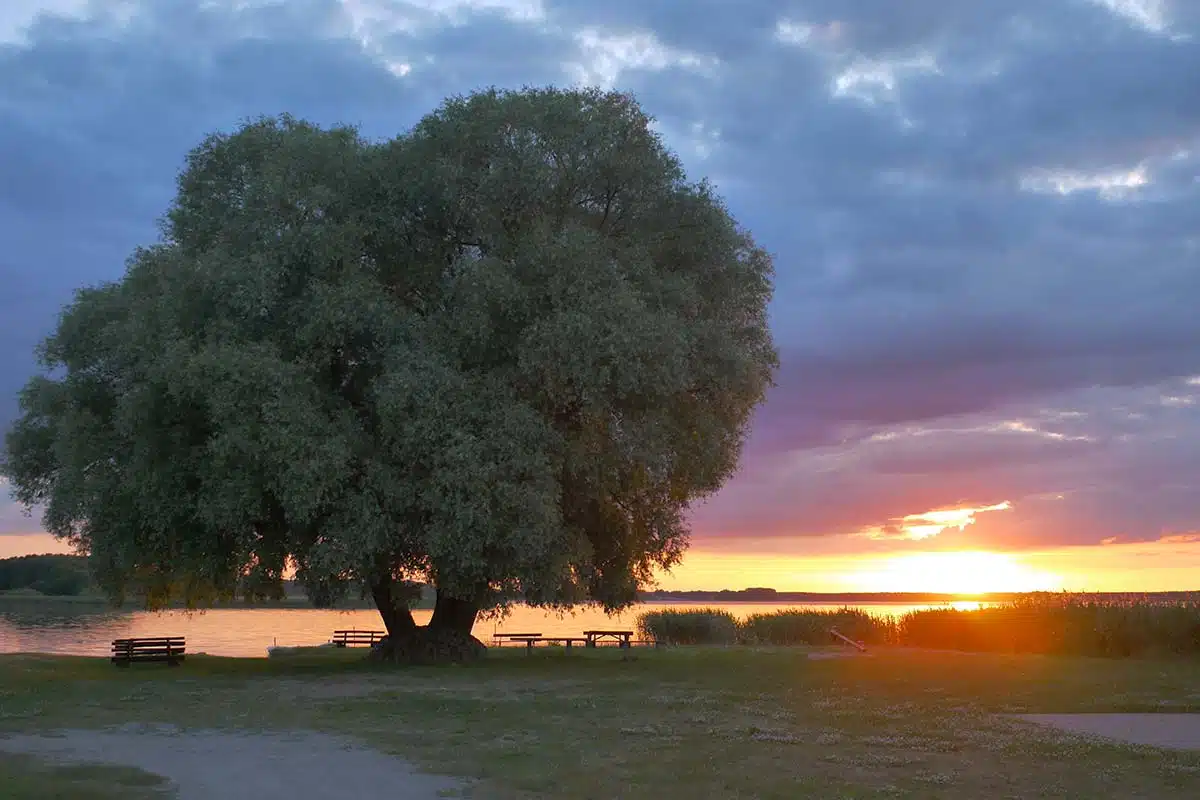 Sonnenuntergang an der Badstelle am Grimnitzsee Sonnenuntergang an der Badstelle am Grimnitzsee