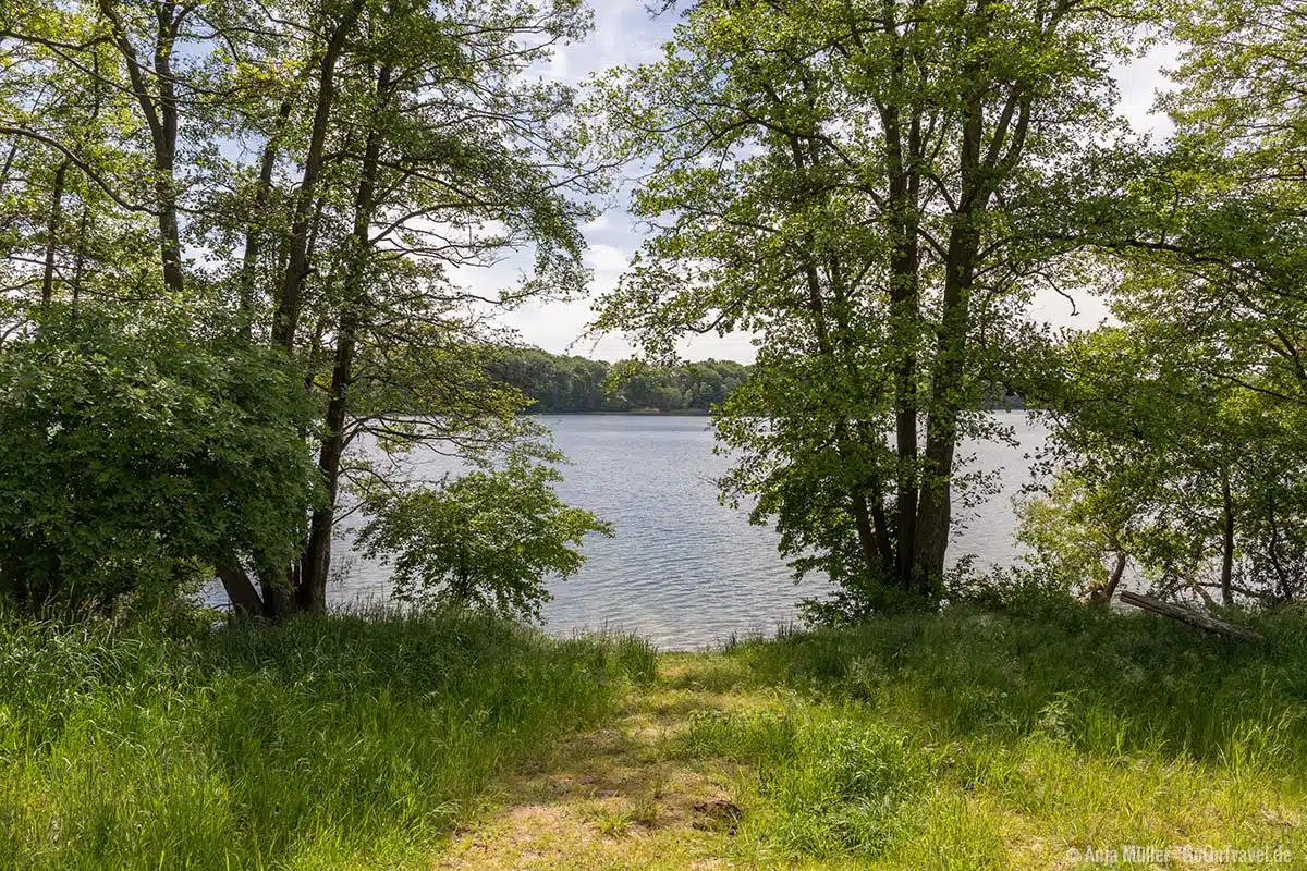 Blick auf das Ufer vom Großen Buckowsee Blick auf das Ufer vom Großen Buckowsee