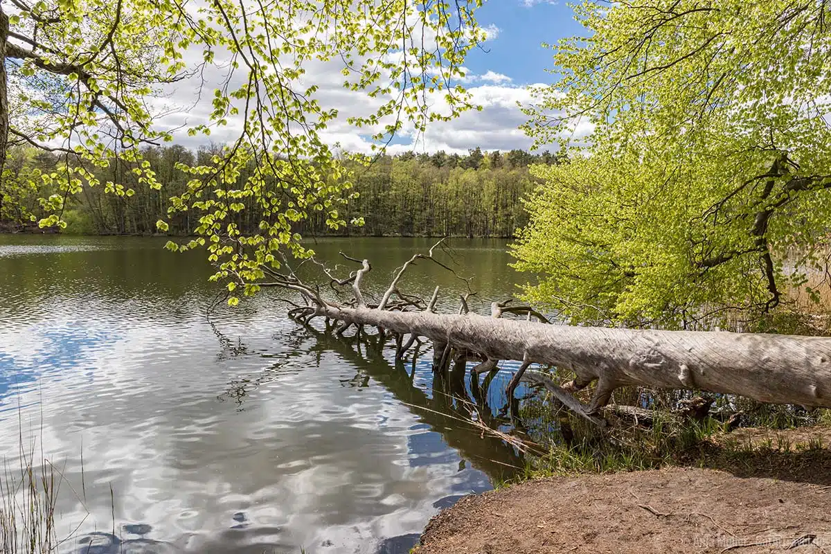 Am Ufer des Hellsee Am Ufer des Hellsee