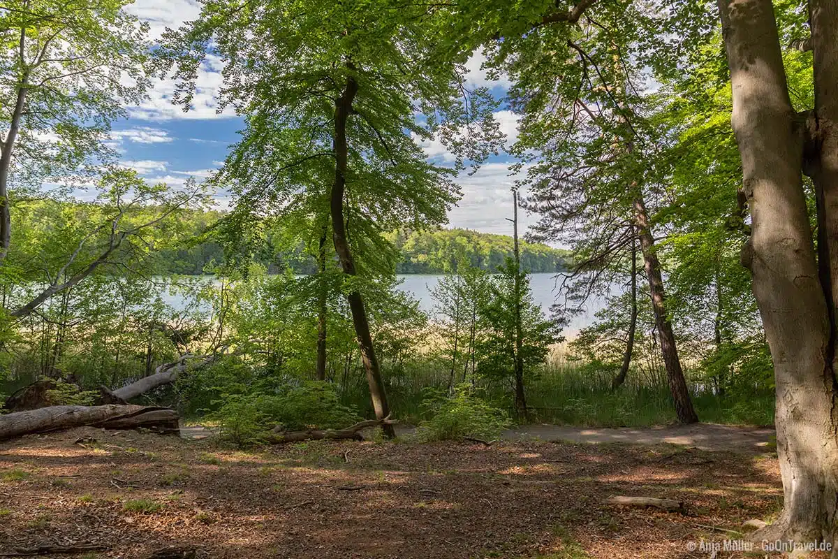 Blick auf den Liepnitzsee vom Ufer aus Blick auf den Liepnitzsee vom Ufer aus