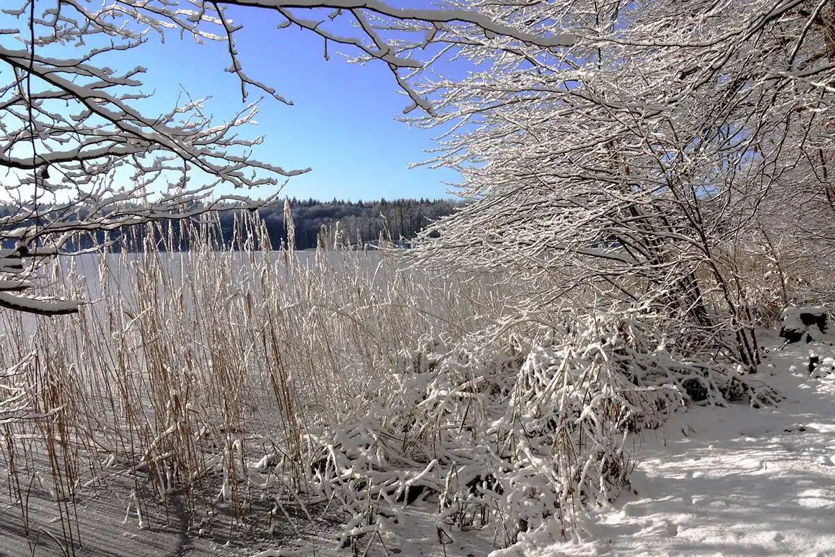 Liepnitzsee im Winter Liepnitzsee im Winter