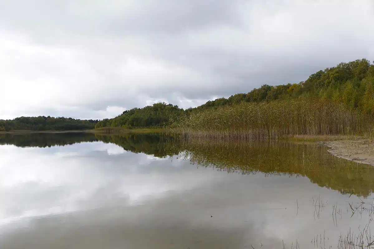 Ufer am großen Pinnowsee Ufer am großen Pinnowsee