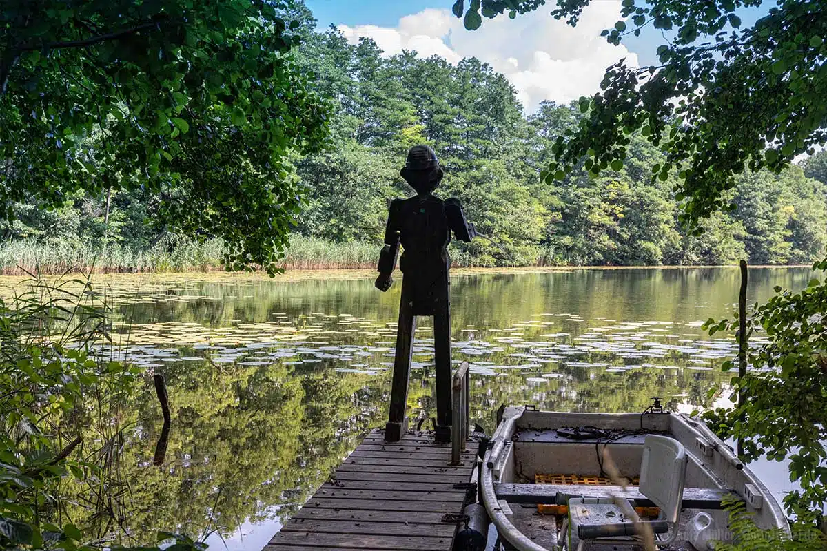 Seerosen am Nordufer des Sees Seerosen am Nordufer des Sees