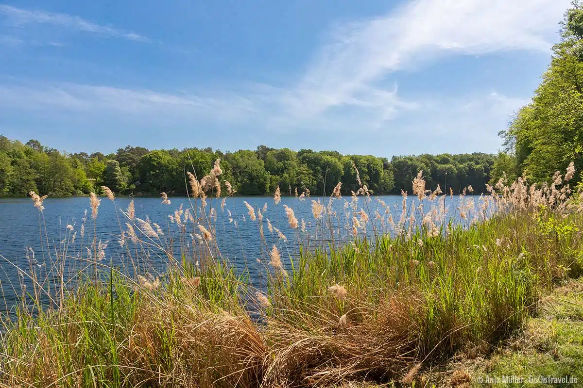 Ufer vom Üdersee Ufer vom Üdersee