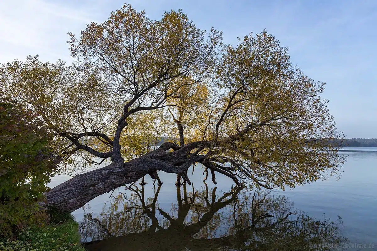 Am Ufer des Werbellinsees Am Ufer des Werbellinsees