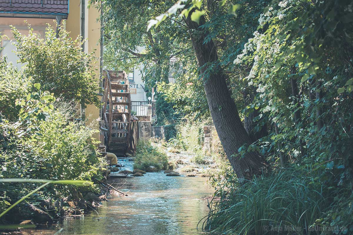 Viel Grün gibt es in Bukow auch