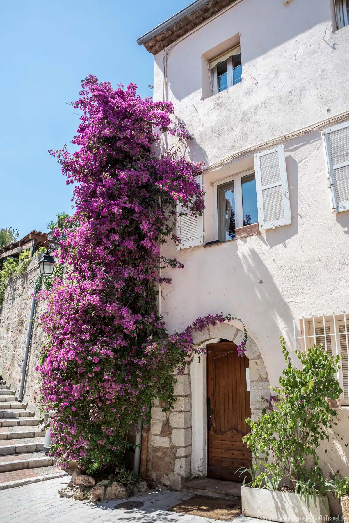 In der Altstadt lassen sich an jeder Ecke Fotomotive finden, wie diese drei Meter hohe Bougainvillea In der Altstadt lassen sich an jeder Ecke Fotomotive finden, wie diese drei Meter hohe Bougainvillea