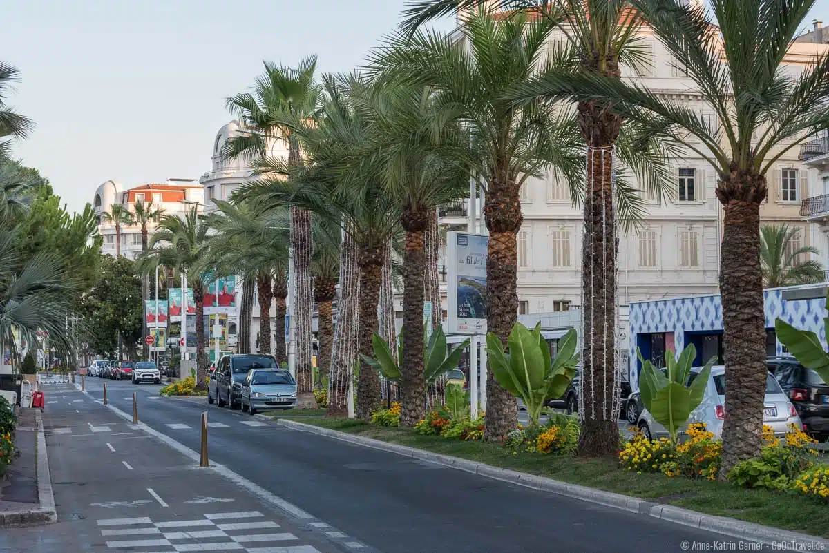 Palmen säumen den Boulevard de la Croisette Palmen säumen den Boulevard de la Croisette