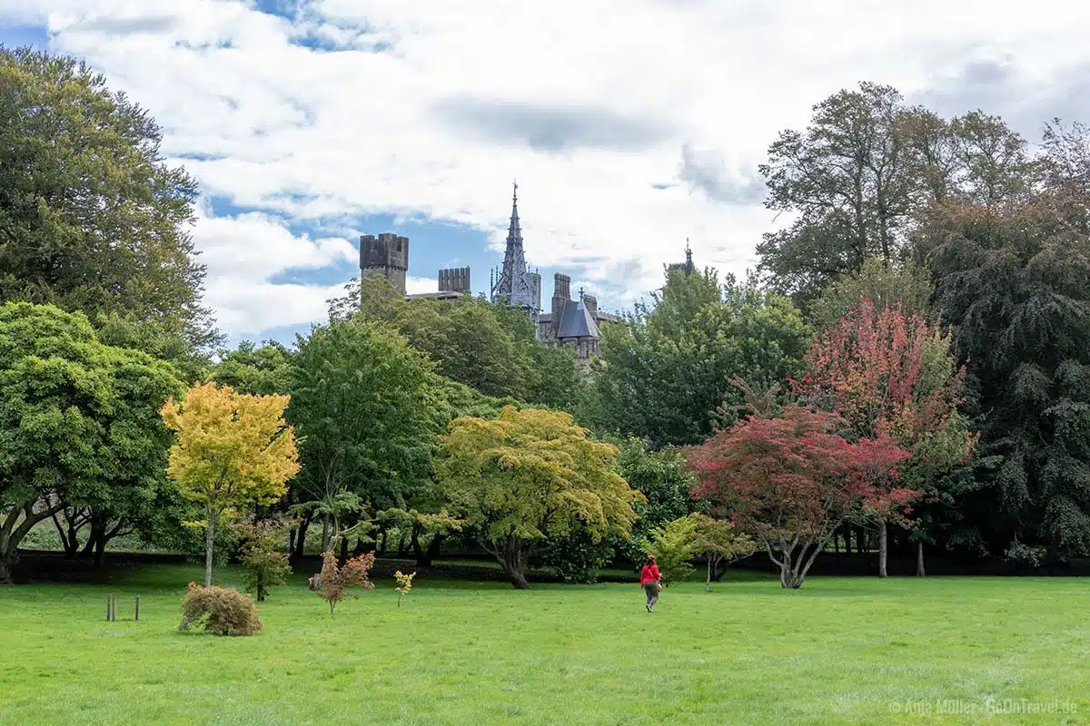 Der Bute Park Der Bute Park