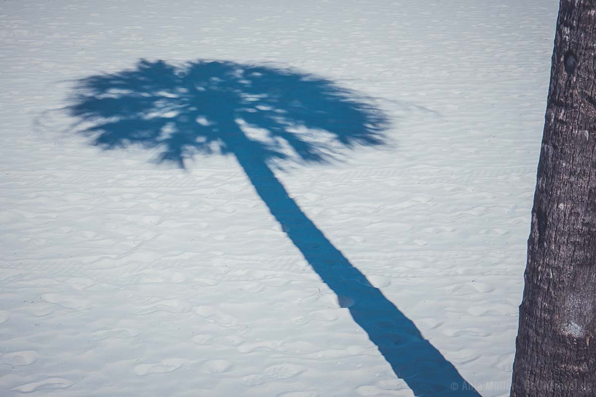 Palmenschatten am Clearwater Beach