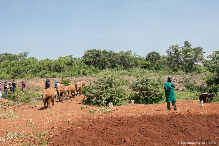 Fütterungszeit im DSWT Fütterungszeit im DSWT