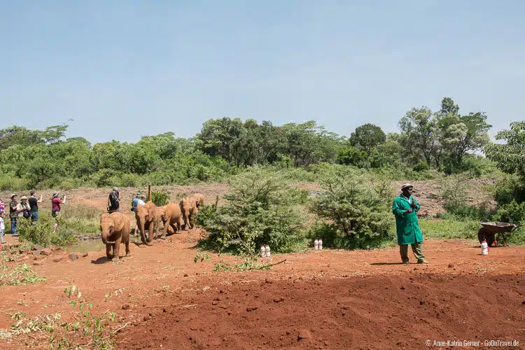 Fütterungszeit im DSWT Fütterungszeit im DSWT