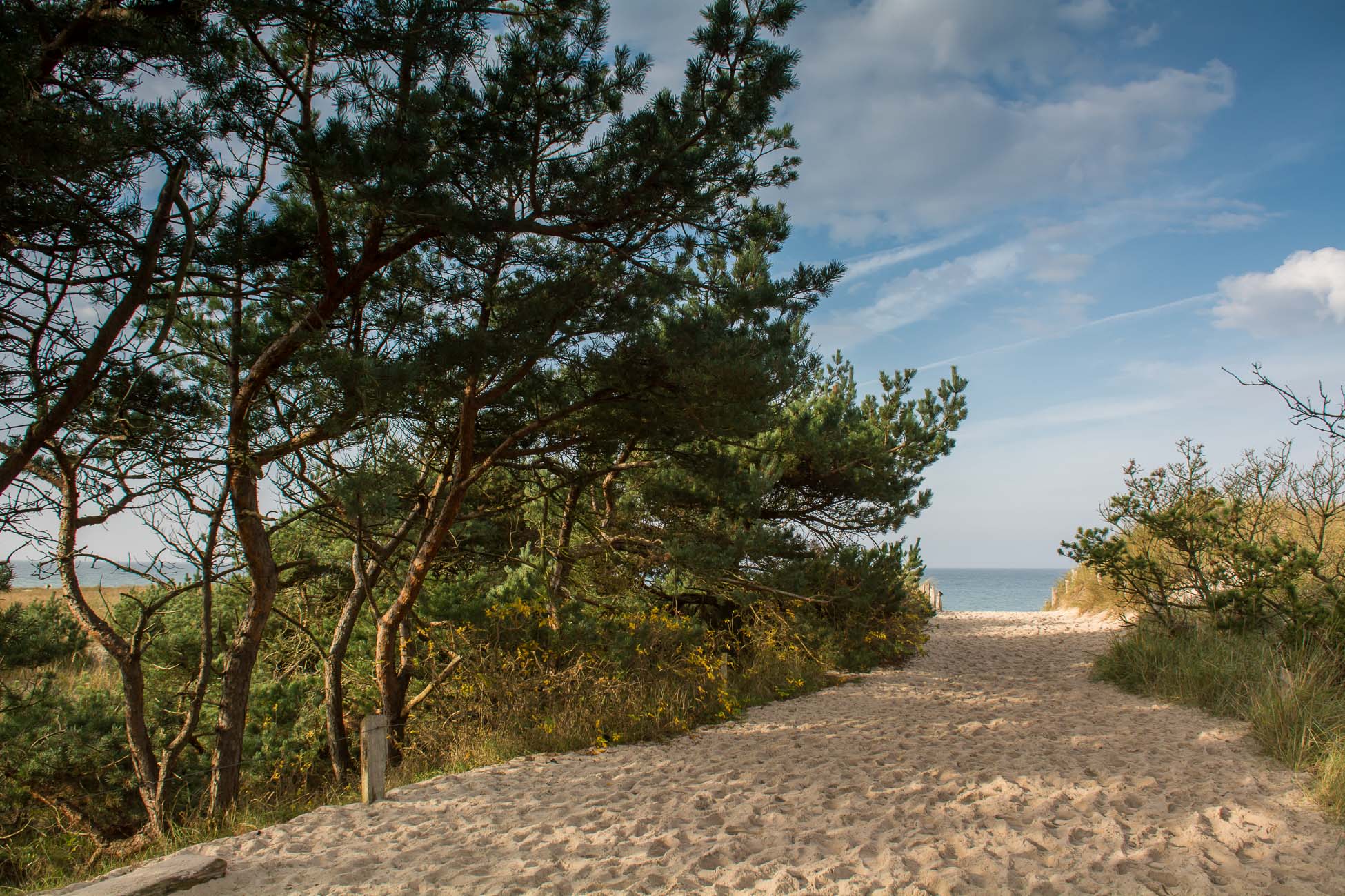 Darss Strandübergang