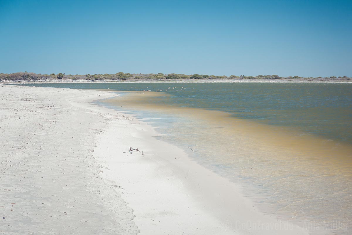 Die Brackwasser-Lagune im De Hoop Nature Reserve