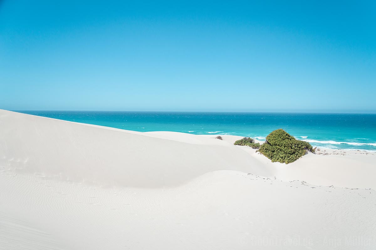 Feinster weißer Sand in der Dünenlandschaft im De Hoop