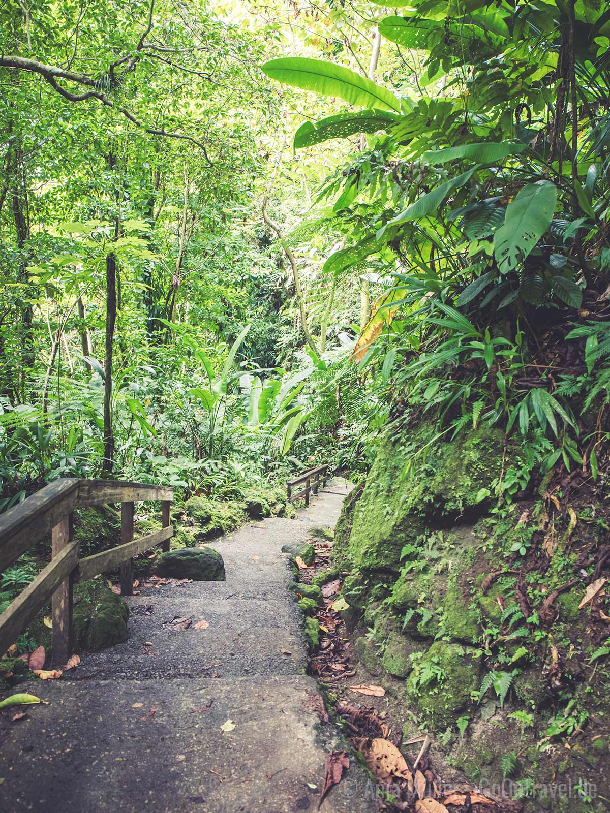 Weg zum Travalgar Waterfalls