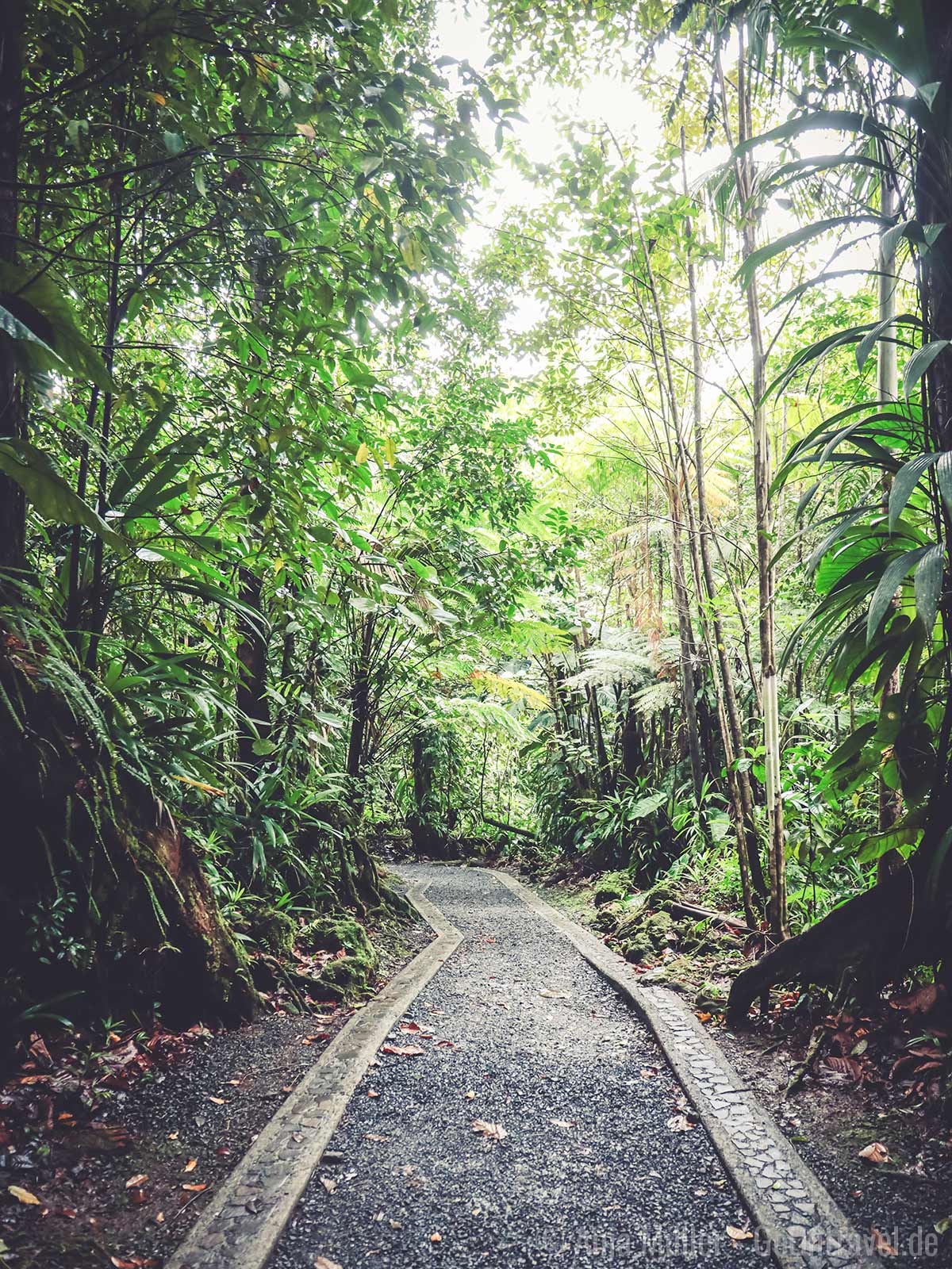 Weg zum Emerald Pool